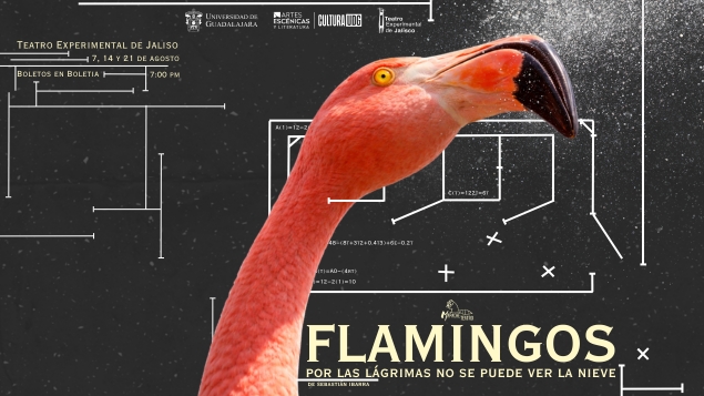Flamingos: Por las lágrimas no se puede ver la nieve