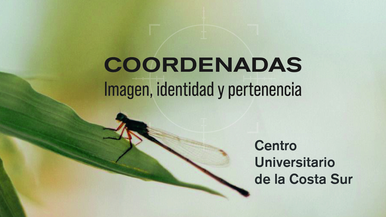 Coordenadas: Imagen, identidad y pertenencia