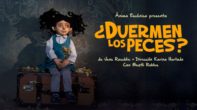 Â¿Duermen los peces?