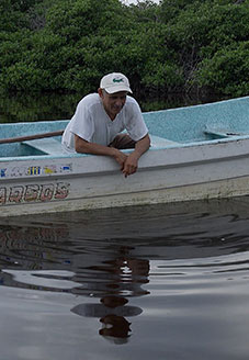 Pepedrilo